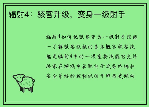 辐射4：骇客升级，变身一级射手